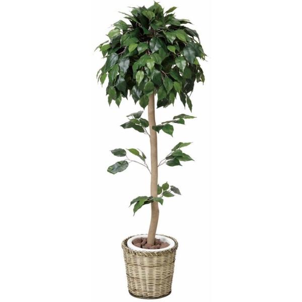 G}ϗtA xW~gsA[1.5 tA^Cv(~hTCY) G} ϗtA tFCNO[  JXj JƏj aj  