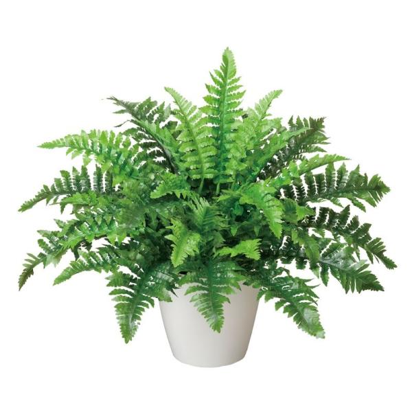 G}ϗtA {Xgt@ e[u^Cv G} ϗtA tFCNO[  JXj JƏj aj  