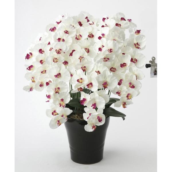 A[gt[  v~AӒ7{W ABktA^Cvl G} ϗtA tFCNO[  JXj JƏj aj  