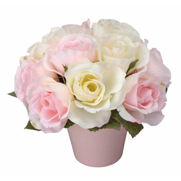 A[gt[  AWt[ G} ~j^Cv ̓ G} ϗtA tFCNO[  JXj JƏj aj  