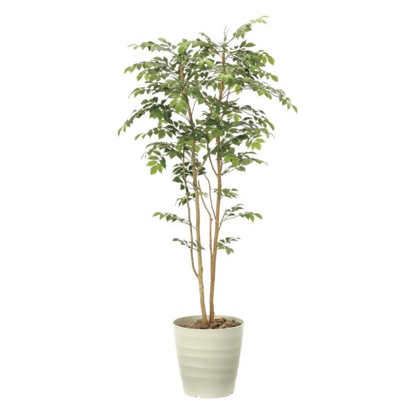 光触媒　人工観葉植物　ウォールグリーン　マウンテンアッシュ1.81.8 光触媒観葉植物 マウンテンアッシュ1.8 〔フロアタイプ〕 インテリア