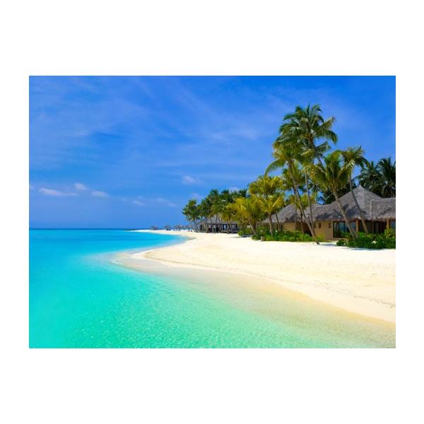 LoXA[g r[`oK[Y I A gsJ ACh G Ǌ| Ǐ CeA G  A[gpl |X^[ G z rO 