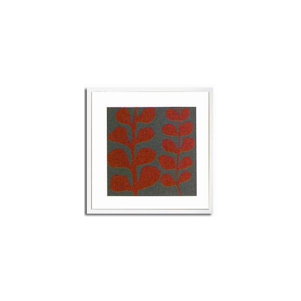 A[gt[ Maidenhair Coral Stem G Ǌ| Ǐ CeA G  A[gpl |X^[ G z rO 