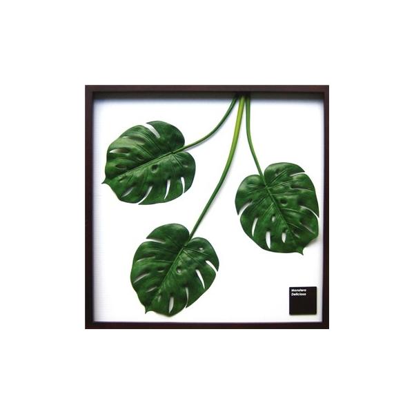 リーフパネル 絵画 モンステラ・デリシオサ 壁掛け 壁飾り