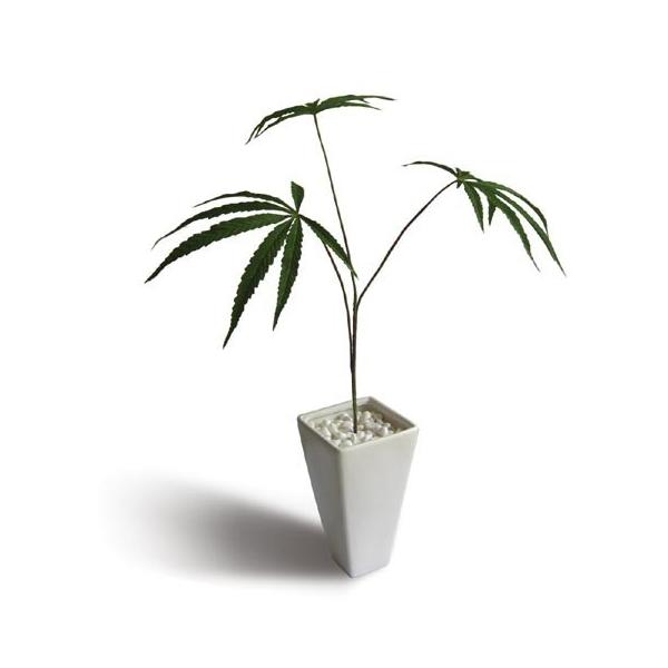 人工観葉植物・造花 Cannabis sativa(ヘンプ 大麻) 絵画 壁掛け 壁飾り  