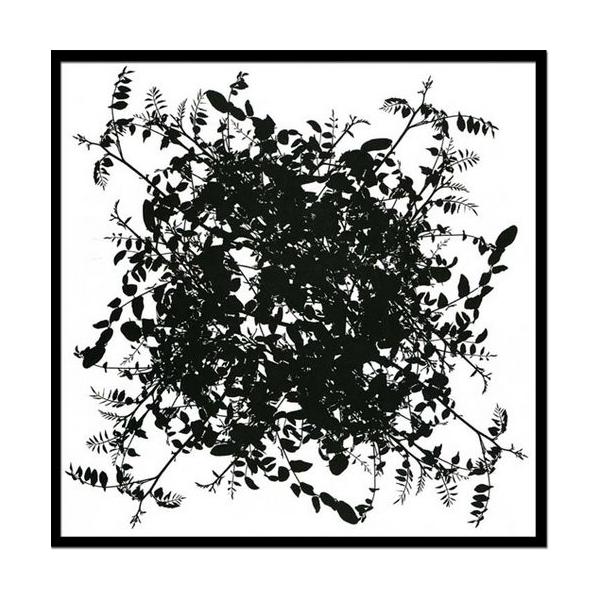 �A�[�g�t���[�� Nicolas Le Beuan Benic Rond nature blanc,2007 10P30Nov13  5L�T�C�Y