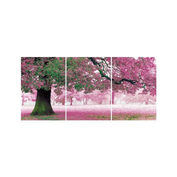 アートフレーム ND Concept Frame 3枚set 桜 絵画 壁掛け 壁飾り