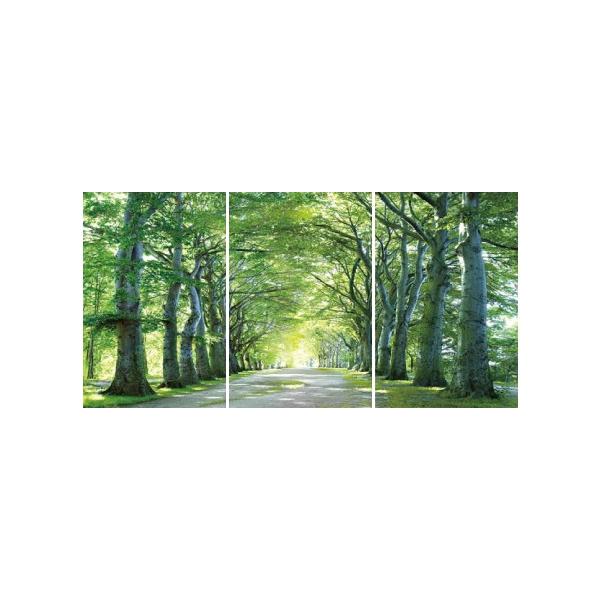 アートフレーム Nd Concept Frame 3枚set 木漏れ日 絵画 壁掛け 壁飾り インテリア 油絵 花 アートパネル ポスター 絵 額入り リビング 玄関 Buyee Buyee 日本の通販商品 オークションの代理入札 代理購入