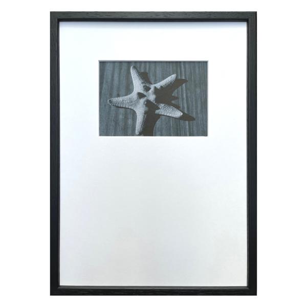 【仕様】サイズ：275x382x20mm重さ：880g材質：天然木・ペット樹脂・紙特徴：吊金具仕様：ヒモ特記事項限定生産品です。突然の品切れにより作品をご用意できない場合もあります。その際はご容赦ください。アートの飾り方 説明書付き▼詳細は...