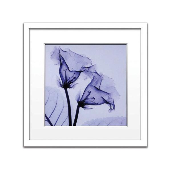 レントゲンアート 絵画 グロキシニア 絵画 壁掛け 壁飾り インテリア 油絵 花 アートパネル ポスター 絵 額入り リビング 玄関 Ism 143 日本唯一の風景専門店 あゆわら 通販 Yahoo ショッピング