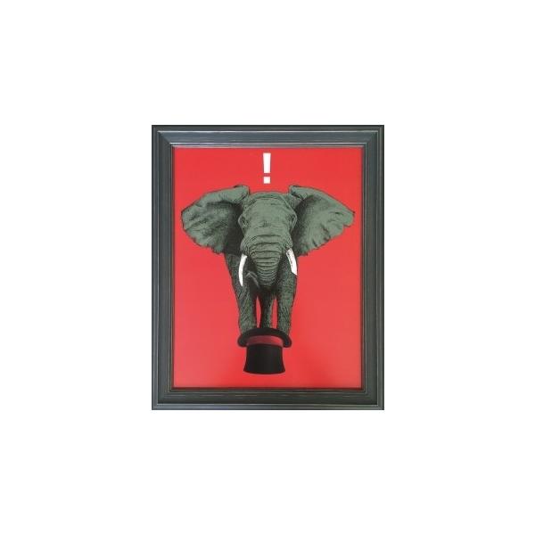 A[gt[ Urban Cricket Magic! G Ǌ| Ǐ CeA G  A[gpl |X^[ G z rO 