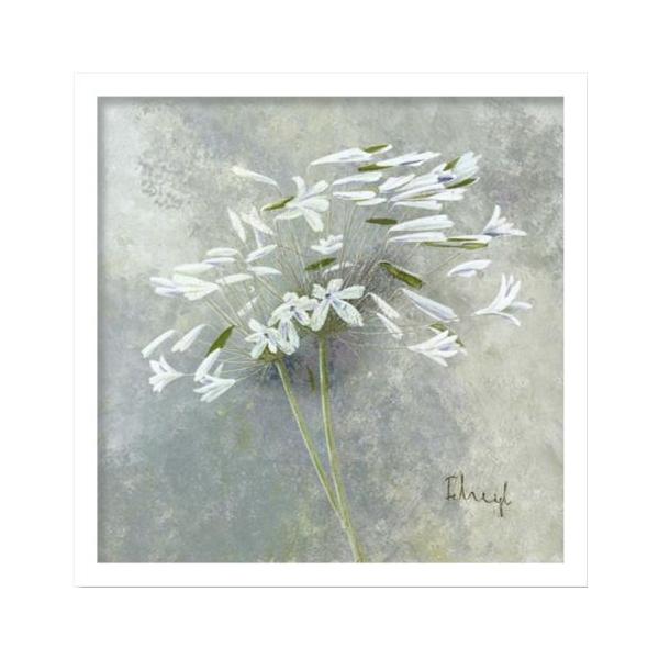 G HEIGL FRANZ tc wCO ENCHANTED I(G`ebh1) G Ǌ| Ǐ CeA G  A[gpl |X^[ G z rO 