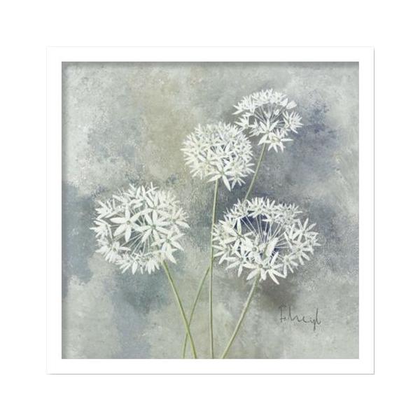 G HEIGL FRANZ tc wCO ENCHANTED II(G`ebh2) G Ǌ| Ǐ CeA G  A[gpl |X^[ G z rO 