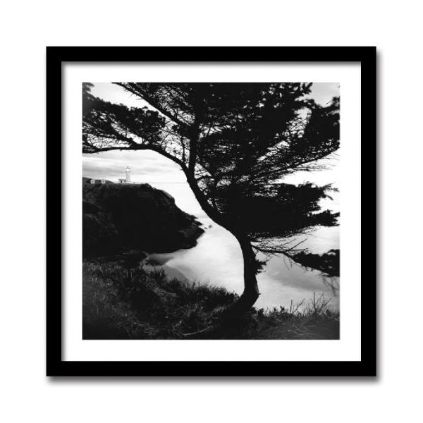 A[gtHg G Ǌ| Micheal Cole }CP R[ Lighthouse(CgnEX )