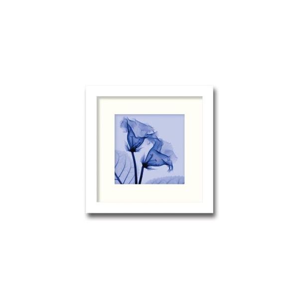 gQA[g G OLVjA X[ G Ǌ| Ǐ CeA G  A[gpl |X^[ G z rO 