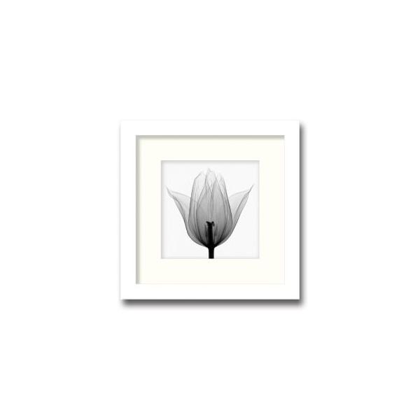 gQA[g G gCAt `[bv G Ǌ| Ǐ CeA G  A[gpl |X^[ G z rO 