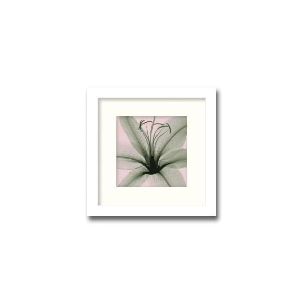 絵画　インテリア　絵　額付 (黒) 油絵　F4-090316　花 (ゆり) 絵画 インテリア 絵 額付 (黒) 油絵 F4-090316 花 (ゆり)