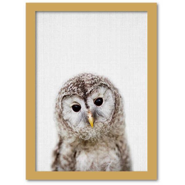 A[gt[ Aj} `h V[Y IE(tNE)  i`t[ 䂤pPbg STCY