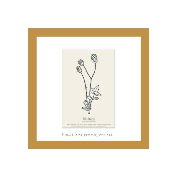 A[gt[ 䂤pPbg ~jA[gRNV G Ǌ| Ǐ CeA G  A[gpl |X^[ G z rO 