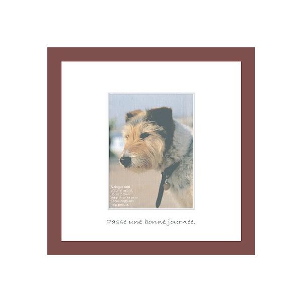 A[gt[ 䂤pPbg ~jA[gRNV G Ǌ| Ǐ CeA G  A[gpl |X^[ G z rO 