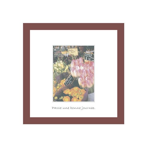 A[gt[ 䂤pPbg ~jA[gRNV G Ǌ| Ǐ CeA G  A[gpl |X^[ G z rO 