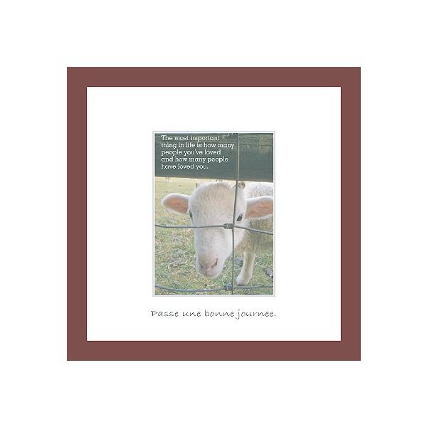 A[gt[ 䂤pPbg ~jA[gRNV G Ǌ| Ǐ CeA G  A[gpl |X^[ G z rO 