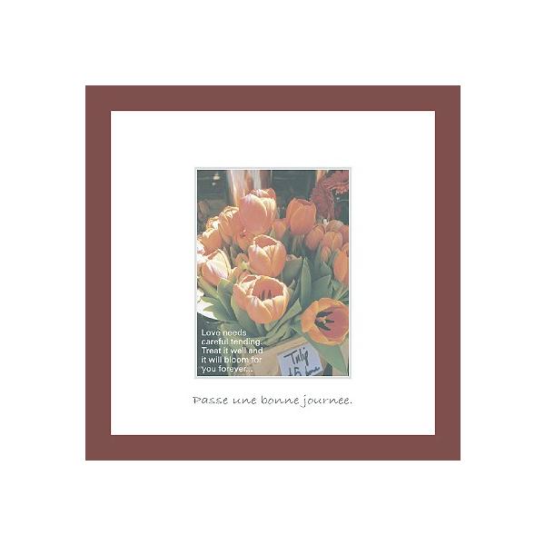 A[gt[ 䂤pPbg ~jA[gRNV G Ǌ| Ǐ CeA G  A[gpl |X^[ G z rO 