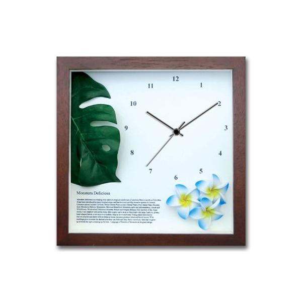 v Ǌ| Xe vA(BL) BR EH[NbN CeA Ǌ| Mtg v[g Vzj  A[g