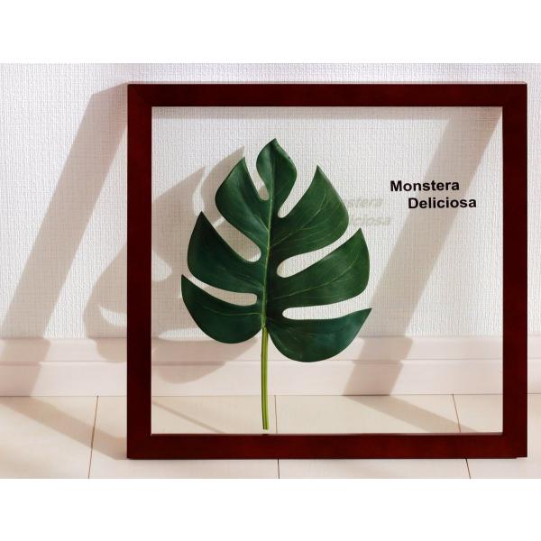 [tpl G Xe fVIT1 G Ǌ| Ǐ CeA G  A[gpl |X^[ G z rO 