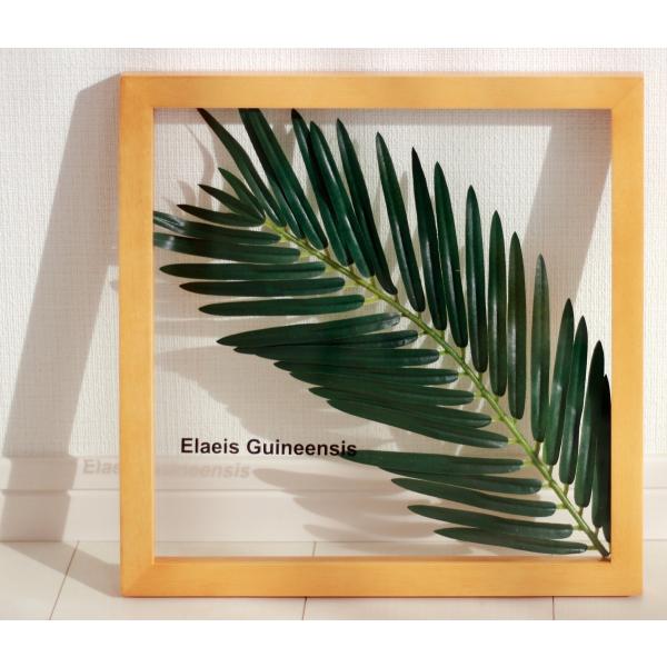 [tpl G MjAAuV i`t[ G Ǌ| Ǐ CeA G  A[gpl |X^[ G z rO 