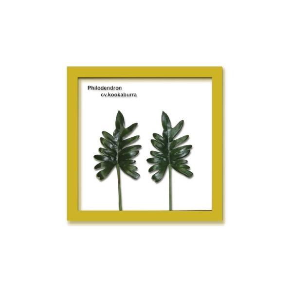 [tpl G tBfh NbJo i`t[ G Ǌ| Ǐ CeA G  A[gpl |X^[ G z rO 