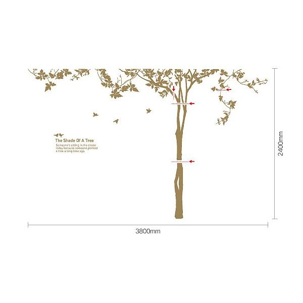 EH[XebJ[ Shade of a tree Black G Ǌ| Ǐ CeA G  A[gpl |X^[ G z rO 