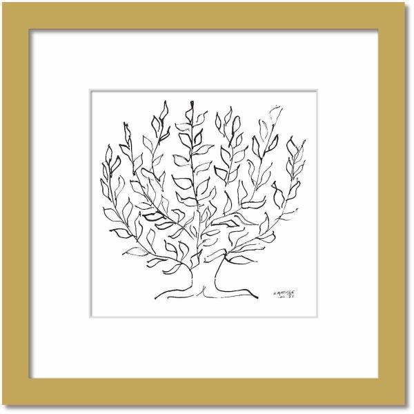  VvA[g AE}eBX   Le Platane v^iX  i`t[ 䂤pPbg STCY