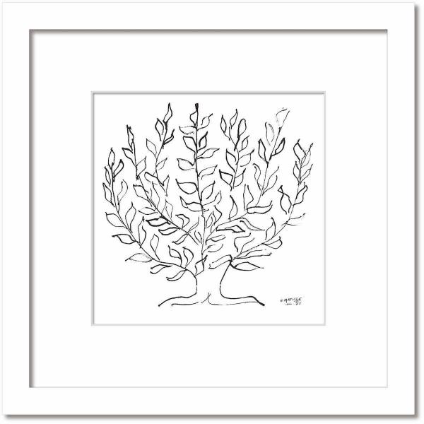  VvA[g AE}eBX   Le Platane v^iX  zCgt[ MTCY