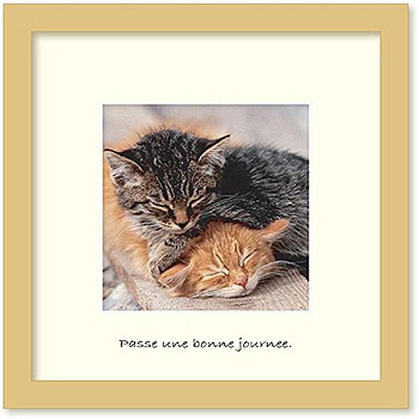 A[gt[ 䂤pPbg Fabien DELAIRON Napp(Q) G Ǌ| Ǐ CeA G  A[gpl |X^[ G z rO 