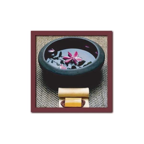 A[gt[ Colin ANDERSON Zen Moment([ [g T̂ЂƎ)