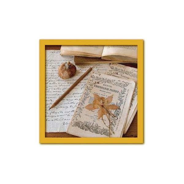 A[gt[ Celine SACHS JEANTET Herbarium (n[oE A̕W{)