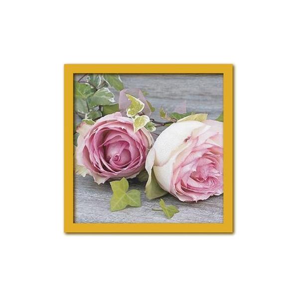 A[gt[ Catherine BEYLER Roses([[X o) G Ǌ| Ǐ CeA G  A[gpl |X^[ G z rO 