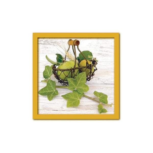 A[gt[ Catherine BEYLER Picking(sbLO Eݎ) G Ǌ| Ǐ CeA G  A[gpl |X^[ G z rO 