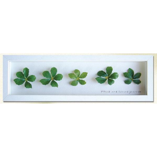 A[gt[ 䂤pPbg VK[oC G Ǌ| Ǐ CeA G  A[gpl |X^[ G z rO 