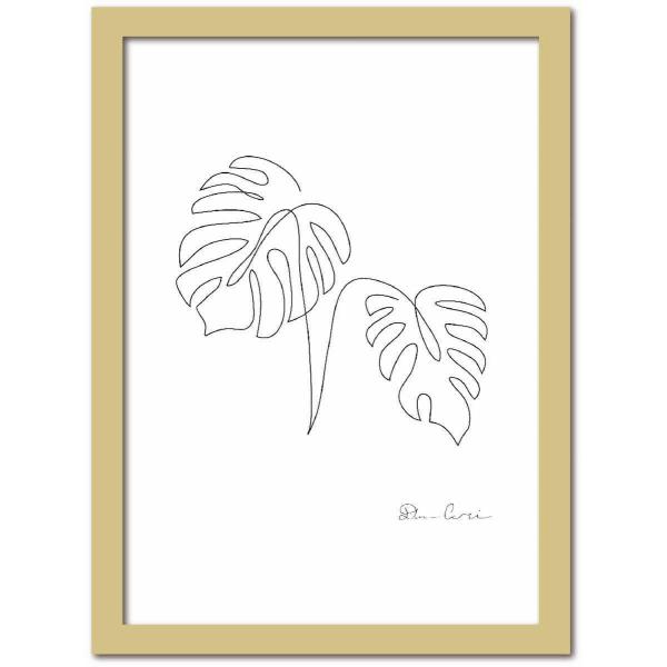 A[gt[ CA[g Monstera3 Xe3 i`t[ 䂤pPbg STCY