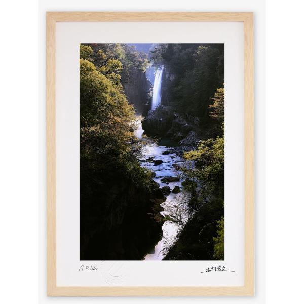 額縁付き】油絵 c.jackson 森林 川 風景 【壁掛け可能】