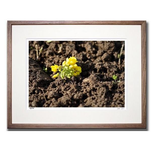 A[gtHg G Ǌ| ؂̉ԁEk̋G Rs G Ǌ| Ǐ CeA G  A[gpl |X^[ G z rO 