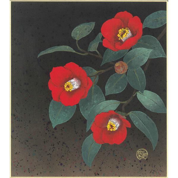 手描き 色紙 色紙掛けなし 「椿」白木 菜加 242mm×273mm モダン 手描き 色紙 色紙絵 掛軸 床の間 和室 おしゃれ 壁掛け 絵