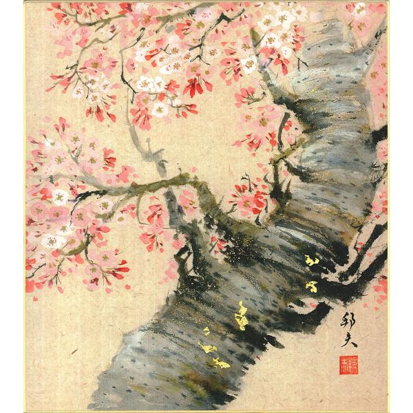 手描き 色紙 色紙掛けなし 「桜」片山 邦夫 242mm×273mm モダン 手描き 色紙 色紙絵 掛軸 床の間 和室 おしゃれ 壁掛け 絵