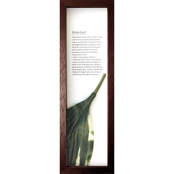 [tpl G 䂤pPbg nfBAt[^ zX^[t1iuEj G Ǌ| Ǐ CeA  A[gpl G z rO 