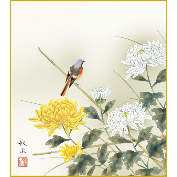 色紙  色紙掛けなし 色紙絵  和風 菊花 浮田秋水 モダン 掛軸 床の間 和室 おしゃれ 壁掛け 絵