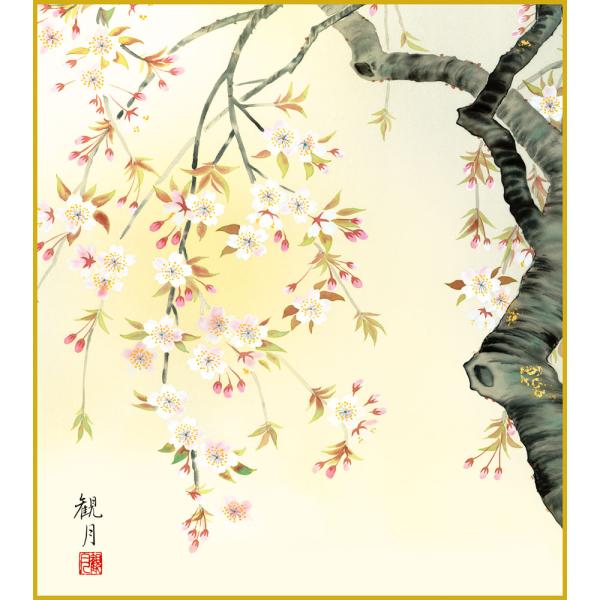 色紙  色紙掛けなし 色紙絵  和風 桜花爛漫  モダン 掛軸 床の間 和室 おしゃれ 壁掛け 絵