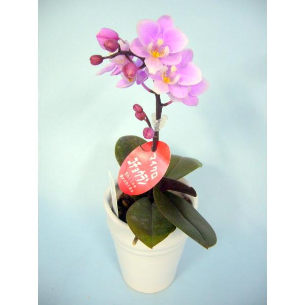 }CNӒ sNFӒ 1{ i傤j aj  Yn t[Mtg m Ӓ JXj JƏj j A