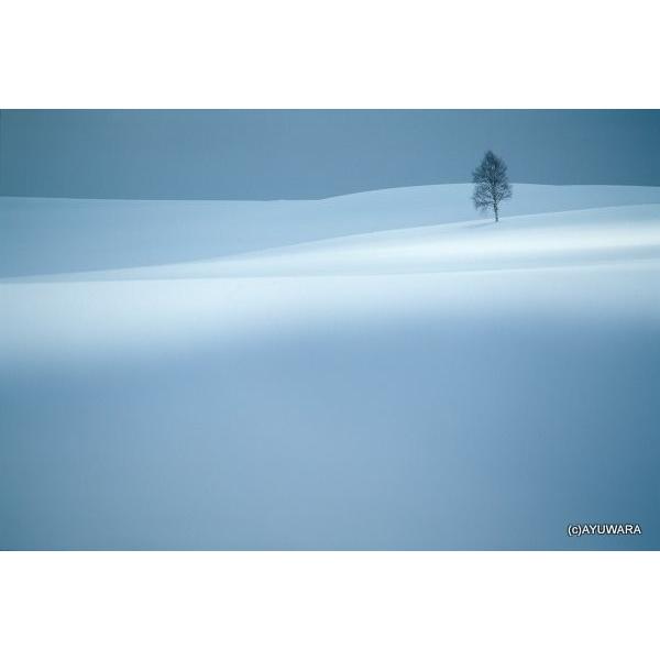 A[gtHg G Ǌ| u1 ^ G Ǌ| Ǐ CeA G  A[gpl |X^[ G z rO 